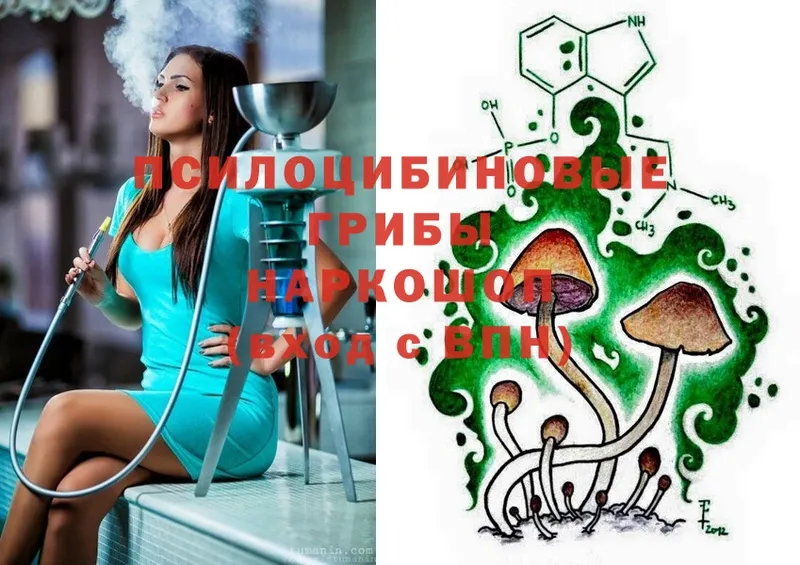 Псилоцибиновые грибы Psilocybine cubensis  Нефтекумск 